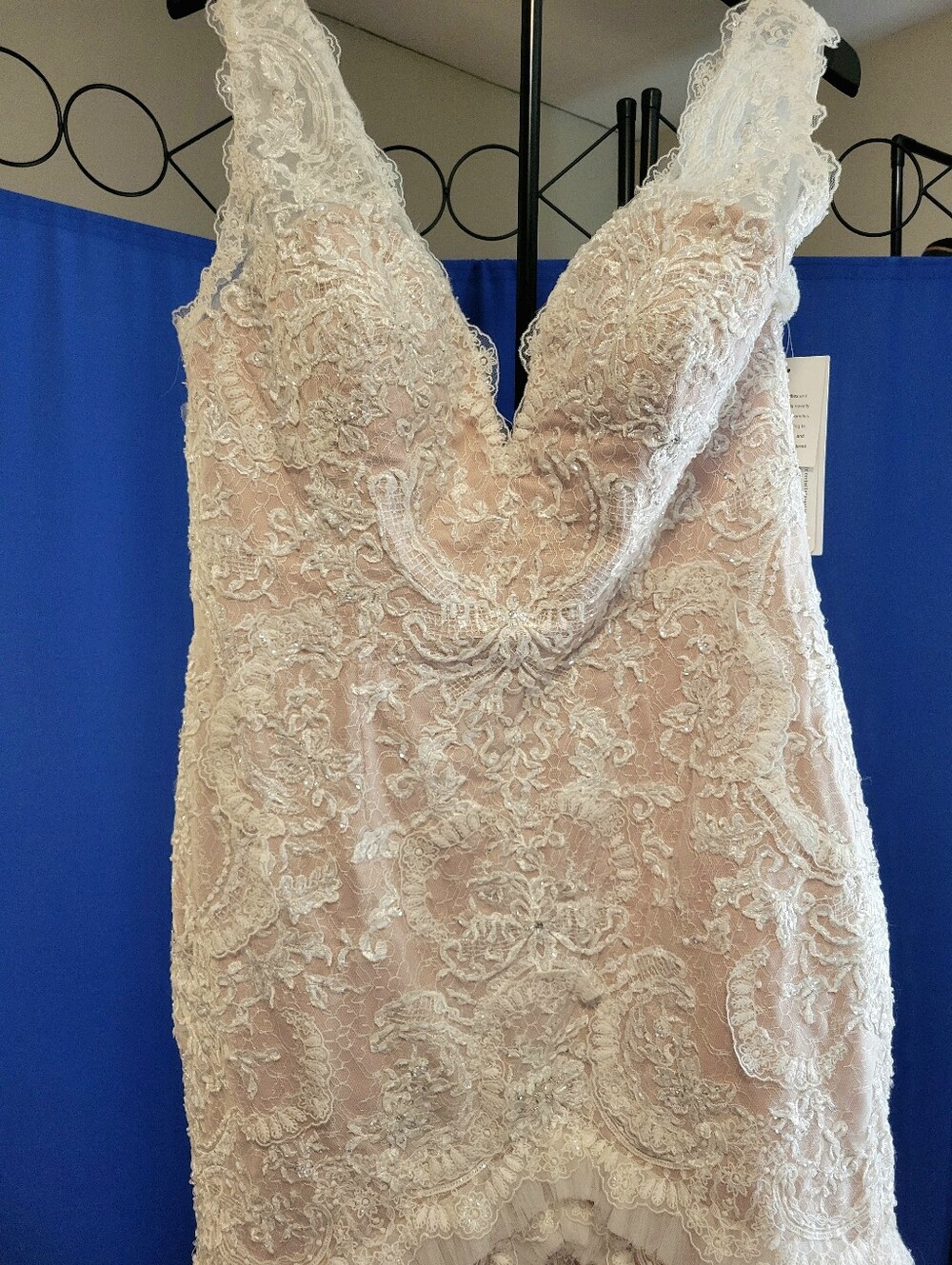 Elegant Lace Mermaid Evening Dress in Champagne - Picture 10 of 13